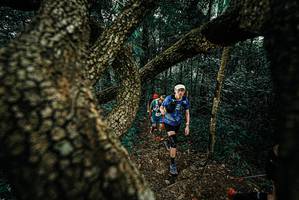 BIB: 
                            <button type="button" onclick="openModal(25695694)" class="btn btn-primary btn-sm float-right btn-popup" data-toggle="modal" data-target=".modal-high-quality">
                        <i class="fas fa-shopping-cart"></i> Add to Cart
                    </button>
                                            <button type="button" onclick="isThisMe(25695694, true)" class="btn btn-success btn-sm float-right btn-popup btn-isme hidden" data-toggle="tooltip" data-placement="bottom" title="นี่คือรูปของคุณใช่ไหม คลิกที่นี่เพื่อเอาเข้าอัลบั้ม">
                        <i class="fas fa-plus"></i> Add to album
                    </button>
                    <button type="button" onclick="isThisMe(25695694, false)" class="btn btn-warning btn-sm float-right btn-popup btn-isnotme hidden">
                        <i class="fas fa-ban"></i> Remove from album
                    </button>